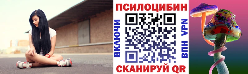 блэк спрут сайт  Николаевск  Псилоцибиновые грибы MAGIC MUSHROOMS 